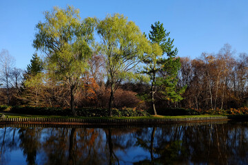Fototapeta na wymiar Scenery of Park in the Autumn.