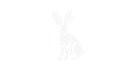 Silhouette of the White Rabbit