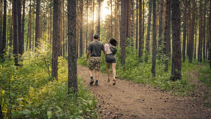 Fototapeta premium walk in the woods