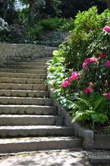 Kamienne schody w ogrodzie wśród bujnej zieleni i kwitnących rododendronów - obrazy, fototapety, plakaty