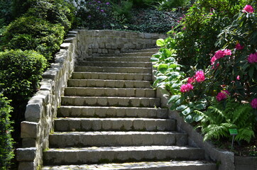 Kamienne schody w ogrodzie wśród bujnej zieleni i kwitnących rododendronów - obrazy, fototapety, plakaty