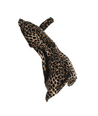 Leopard print dress isolated on white. Stylish clothes