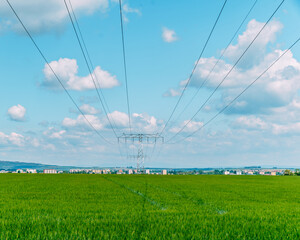 high voltage wires over a field with farm plants