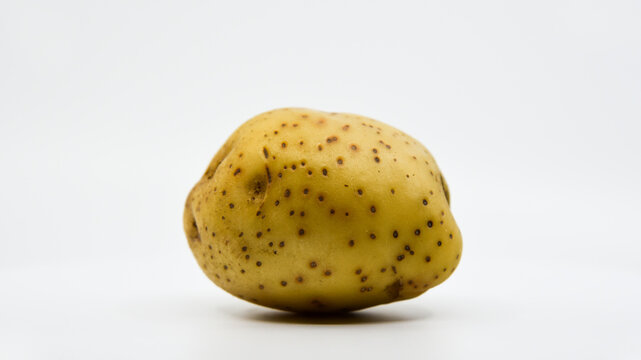 Yukon gold potato with a white background