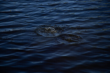circles on the water