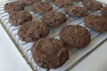 Closeup homemade round chocolate cookies on cake cooler with blurred background in kitchen