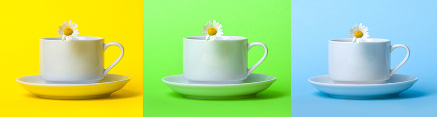Cup of tea with camomile on a colored background. Collage.