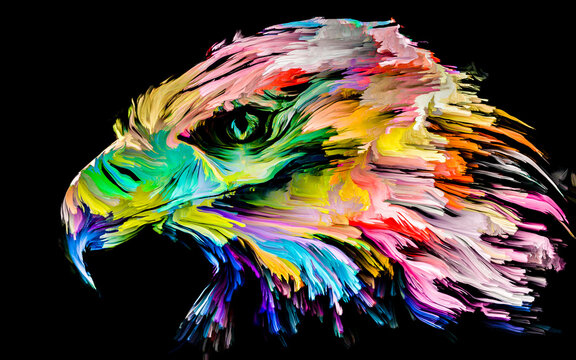 Bird of Color Paint