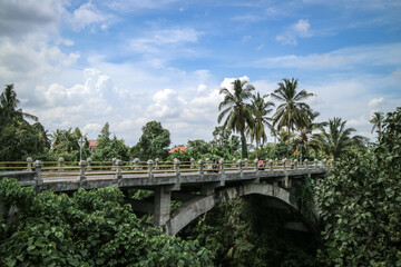 Fototapeta na wymiar Coconut palms growing along the road at sunny day.