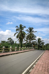 Obraz na płótnie Canvas Coconut palms growing along the road at sunny day.