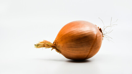 Yellow onion with a white background