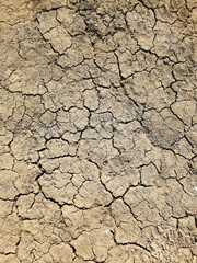 cracked earth in hot summer