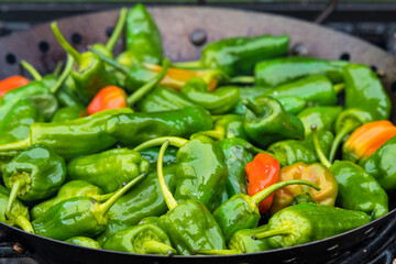 pimientos de padron the tasty spain green pepper on the grill