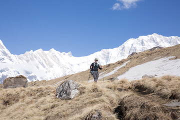 Fototapeta premium Man Hiking with Trekking Poles at Annapurna Base Camp in Nepal