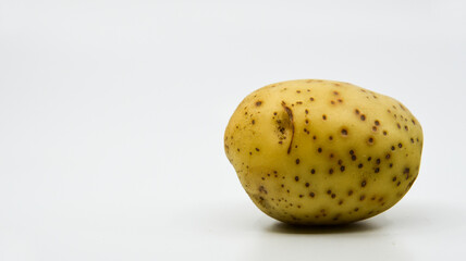 Yukon gold potato with a white background