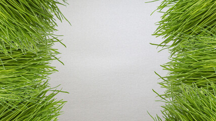 Banner of green grass over gray background. Copy space