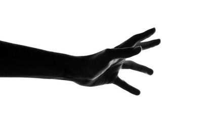 Obraz premium Mani 12