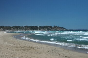 flor, naturaleza, blanco, margarita, fábrica, verde, flora, loto, huerta, primavera, rosa, morada, verano, acuático, azucena, beldad, florecer, flor, macro, florecer, amarilla, floral, pétalo, hermoso