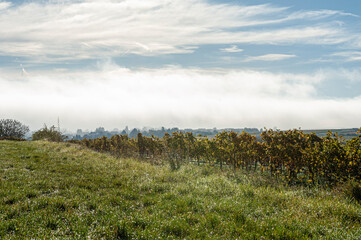 Herbstlandschaft und Weinberge