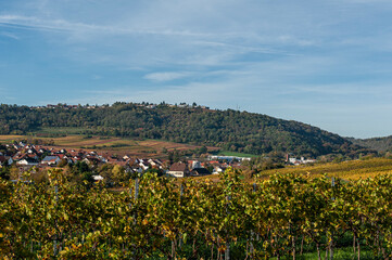 Herbstlandschaft und Weinberge