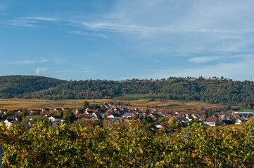 Herbstlandschaft und Weinberge