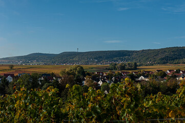 Herbstlandschaft und Weinberge