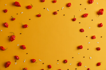 Red habanero chili pepper with peppercorns and coconut flakes arranged in circles over yellow background, copy space in middle for your recipe or other information about ingredient. Vegetables concept