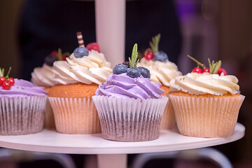 Blueberries on a holiday cupcake with lilac cream.. A set of different delicious cupcakes.