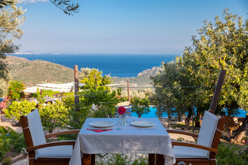 close up dinner table on the outside with a sea view, red flower and plates on table