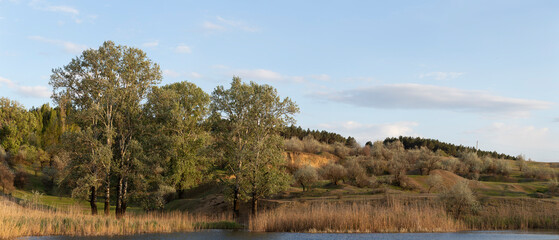 Forest edge. Poplars by the water. Spring pasture, artificial reservoir.  Budzhak steppe.