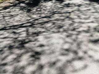 black and white photo abstraction shadow asphalt road