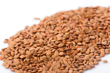 lentils close-up. green lentils. delicious lentils. lentil seeds