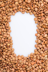 lentils close-up. green lentils. delicious lentils. lentil seeds