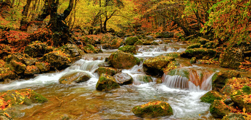 Autumn in the Grand Canyon of Crimea