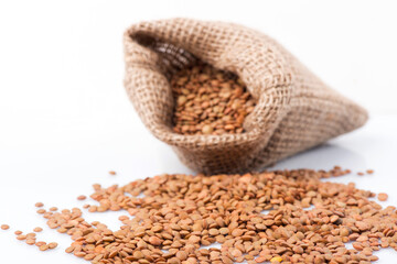 lentils close-up. green lentils. delicious lentils. lentil seeds