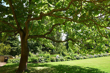 Jardin anglais en &eacute;t&eacute;