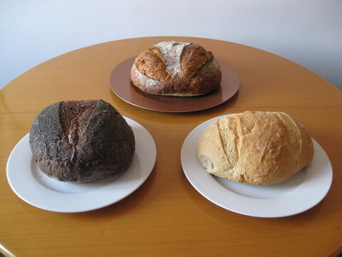 Tres hogazas de pan, de harina de centeno obscuro( izda), de trigo (post), y de espelta blanca en platos sobre mesa madera. Pan reciente, artesano 
