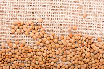 lentils close-up. green lentils. delicious lentils. lentil seeds