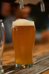 glass of beer on the table