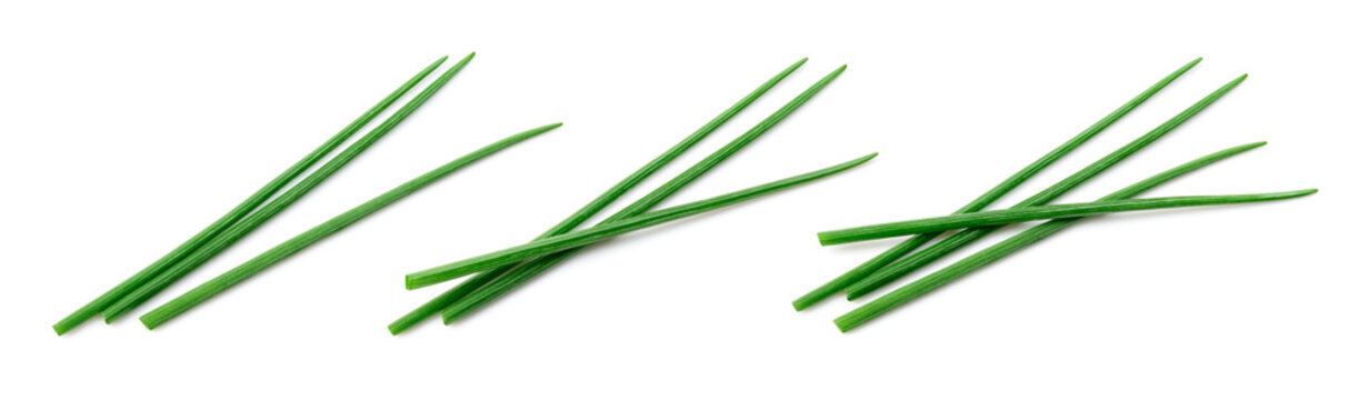 Chives isolated. Young green onion. Collection. Flat lay. Top view.