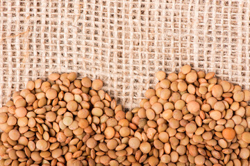 lentils close-up. green lentils. delicious lentils. lentil seeds