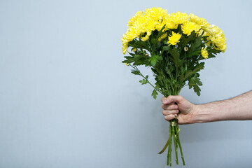 A bouquet of yellow chrysanthemums in a man's hand on a gray-blue background. A sign of attention to loved and close women.