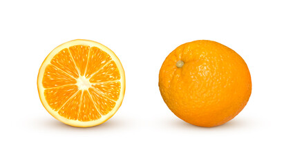 Realistic orange isolated on white background. Set of fresh orange fruit. Vector illustration