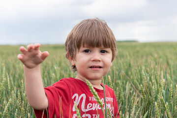 Portrait of a little boy in a wheat field. Child in wheat field