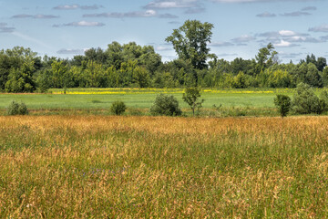 autumn nature in the Forest steppe part of Russia