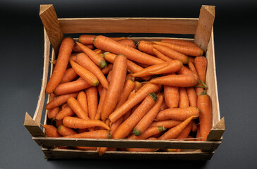 Fresh carrots in the wooden box top view