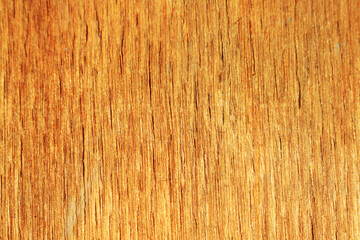Naklejka premium wood texture background