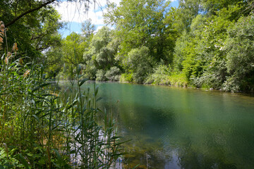 Ile de Gerstheim im Grand Ried im Elsass