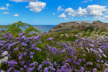 Obraz premium Archaeological park Apollonia in Israel