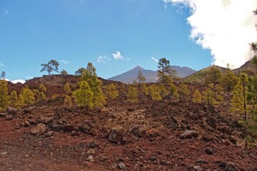 calm mountain landscape around Teide on the Spanish Canary Island Tenerife